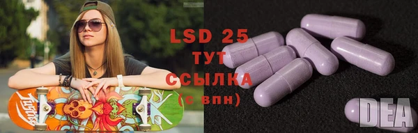 прущие грибы Снежинск